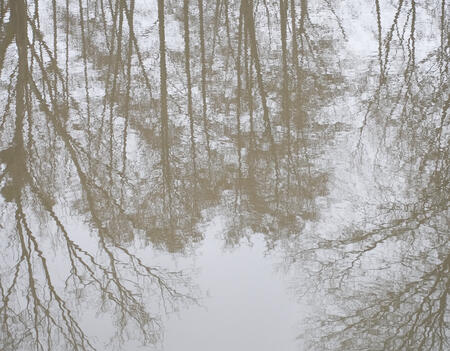 Le marche du livre nature a lheure de la La climatofatigue0.jpg