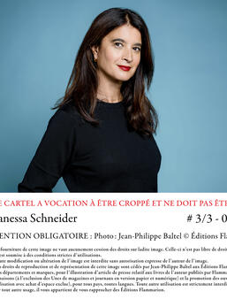 Vanessa Schneider La peau dure Flammarion0.jpg