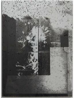 Couverture Vincent Jendly, One Millimeter of Black Dirt and a Veil of Dead Cows