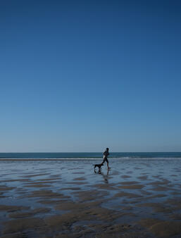 Les editeurs de sante   Desormais cest ChatGPT que nous craignons0.jpg