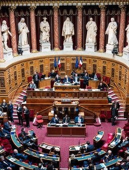 Hémicycle du Sénat AFP__20260107__HL_XBOUZAS_2971946__v1__HighRes__FrancePoliticPlfssVoteSenate
