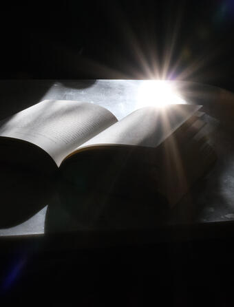 Rentrée d'hiver 2026