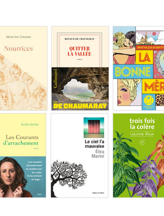 La sélection de la catégorie roman fançais du prix des librairies 2026