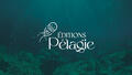 Ed. Pélagie