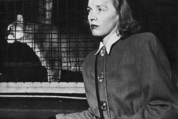 Jean Stafford- "Le puma" (Éditions Beau Dommage)0.png