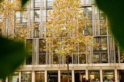 Quel Humensis chez Albin Michel  0.jpg