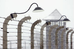 Les barbelés du camp d'Auschwitz photographiés par Sean Gallup (AFP)