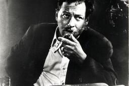 Tennessee Williams Nouvelles de jeunesse Robert Laffont0.jpg