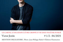 Victor Jestin La mauvaise joueuse Flammarion  0.jpg