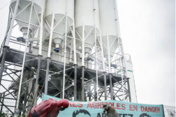 Lea Hobson Desarmer le beton Rehabiter la Terre Zones0.png