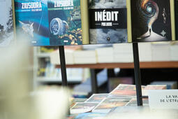 Fantasy SF fantastique  un marche de limaginaire en mutation porte par la diversite0.jpg