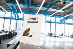 Codes IA et nouveaux formats les editeurs juridiques elargissent leur champ daction0.jpg