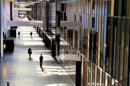 Cour de justice union européenne