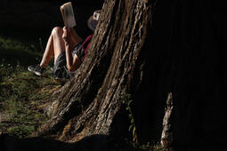 Une lectrice au pied d'un arbre