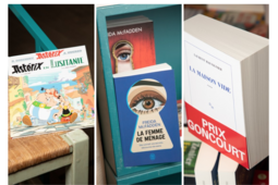 Astérix, Freida McFadden et Laurent Mauvignier, poids lourds du marché du livre en 2025 