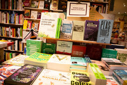 Lecologie seraitelle passee de mode 0.jpg