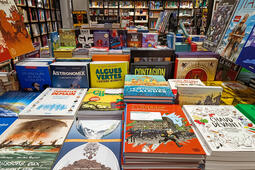 Une table de bandes dessinées à la librairie Le Divan, dans le XVe arrondissement de Paris