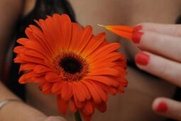 Image d'illustration pour la Saint Valentin