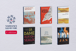 Les six oeuvres sélectionnées pour le prix Naissance d'une oeuvre 2026