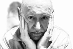 Guy Saez directeur de recherche honoraire au CNRS  Sans sursaut les villes seront obligees de faire des choix0.jpg