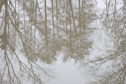 Le marche du livre nature a lheure de la La climatofatigue0.jpg