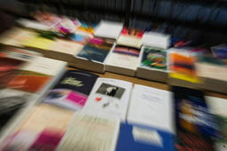 Livres librairie rentrée littéraire 2026 (c) Jean-Michel Delage - Hans Lucas via AFP