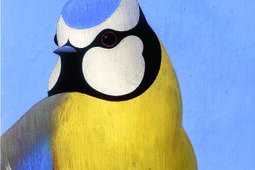 Ronald Curchod Les oiseaux Rouergue0.jpg