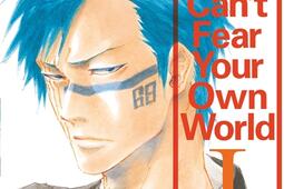 Bleach : can't fear your own world. Vol. 1.jpg