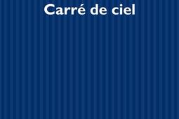 Carré de ciel.jpg