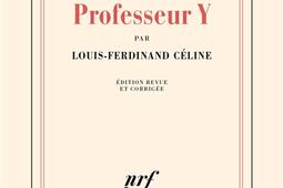 Entretiens avec le professeur Y.jpg