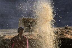 Faim zéro : en finir avec la faim dans le monde.jpg