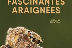 Fascinantes araignées.jpg