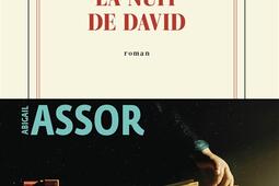 La nuit de David_Gallimard_9782073074263.jpg