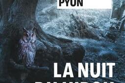 La nuit du hibou.jpg