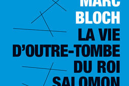 La vie doutretombe du roi Salomon_Presses universitaires de Lyon_9782729714413.jpg