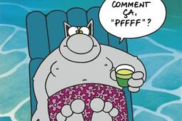 Le Chat. Vol. 15. Une vie de Chat.jpg