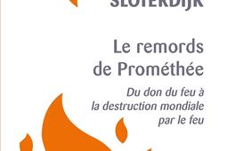 Le remords de Promethee  du don du feu a la de_Payot_9782228933902.jpg