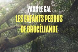 Les enfants perdus de Broceliande_Istya  Cie_9782889442447.jpg