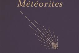 Meteorites_M Lafon.jpg
