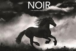 Noir  une histoire dans la nuit_De La Martiniere Jeunesse_9791040111962.jpg