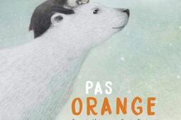 Pas orange.jpg