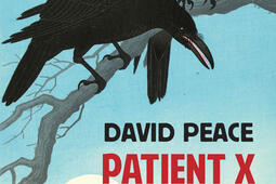 Patient X  le dossier Ryunosuke Akutagawa_Rivages_9782743664732.jpg