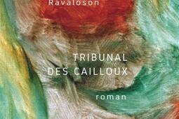 Tribunal des cailloux_Dodo vole_9791090103863.jpg