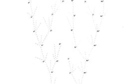 Une brève histoire des lignes.jpg