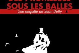 Une enquete de Sean Duffy Vol 2 Des promesses _Fayard_9782213726359.jpg